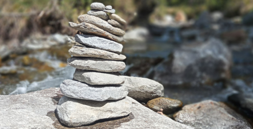 Psychotherapy and Counseling